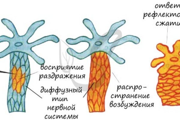 Кракен русский