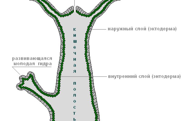 Кракен даркнет сайт